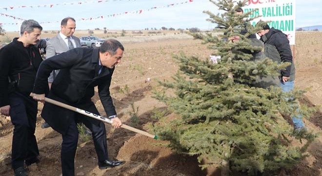 'Amacımız daha yeşil Burdur oluşturmak'