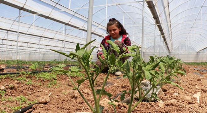 'Burdur yayla seracılığında Türkiye birincisi'