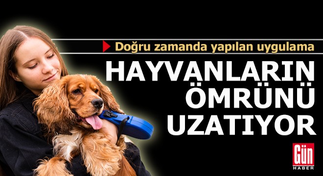 'Doğru zamanda yapılan uygulama, hayvanların ömrünü uzatıyor'