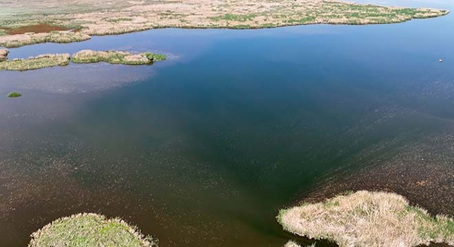 'Eber Gölü'nün derinliği 50 santimetreye düştü'