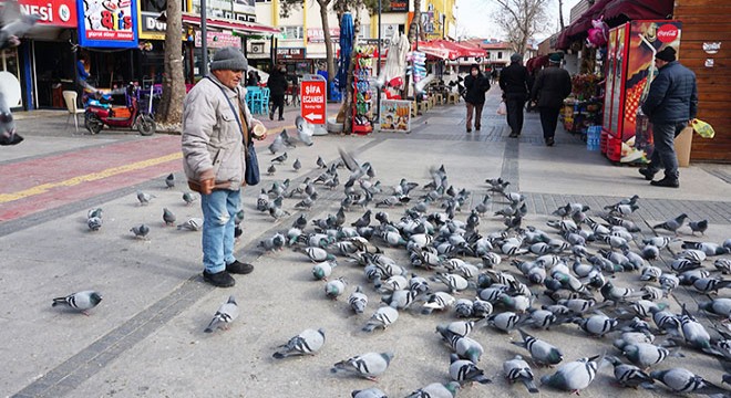 'Kuşçu amca'nın güvercin sevgisi
