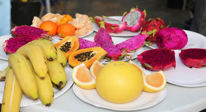 'Pitaya Yetiştiriciliği Üzerinde Araştırmalar' projesinin çıktıları paylaşıldı