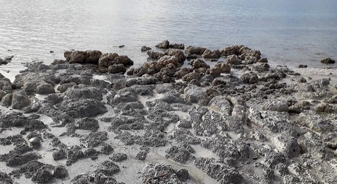 'Salda Gölü kumsalındaki kararma yayılıyor'