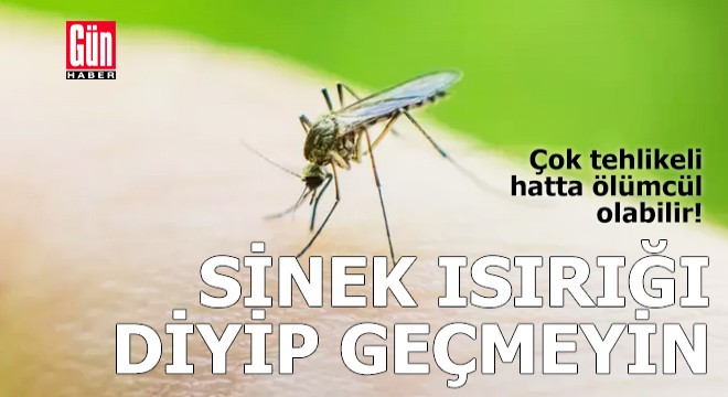 'Sinek ısırdı' deyip göz ardı etmeyin, çok tehlikeli olabilir