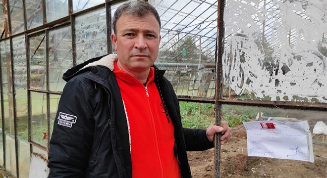 'Yapı ruhsat belgesi' bulunmadığı gerekçesiyle sera mühürlendi