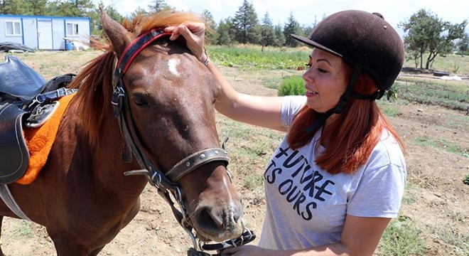 10 yıl rüyalarında gördüğü atı, ata toprağında buldu