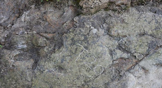 200 milyon yıl öncesine ait dinozor ayak izleri bulundu