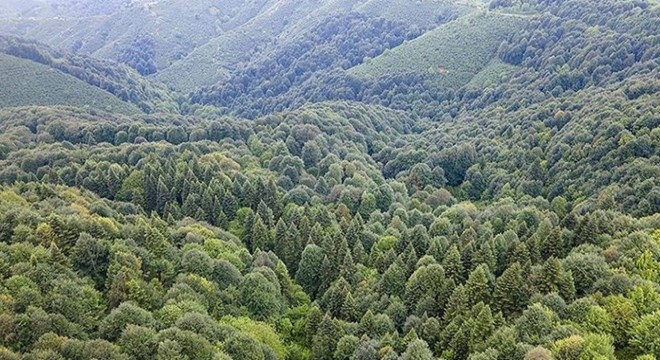 21 ilde bazı alanlar orman sınırları dışına çıkarıldı
