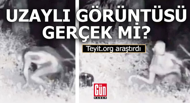 ABD'deki 'uzaylı' görüntüsü gerçek mi?