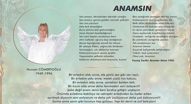 ANAMSIN