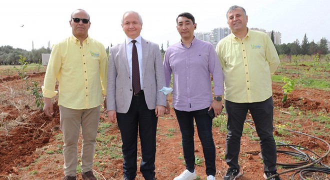AÜ Ziraat'te 'çok noktalı, basınçsız' sulama deneniyor