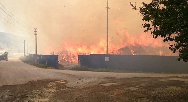 Afyonkarahisar'daki biyokütle enerji tesisinde yine yangın