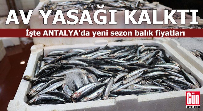 Akdeniz'de av yasağı kalktı! Antalya'da yeni sezon balık fiyatları
