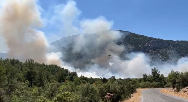 Akseki'de orman yangını