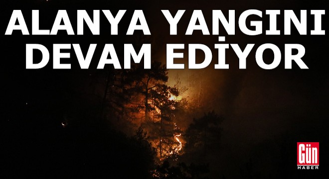 Alanya'daki orman yangınında 2'nci gün