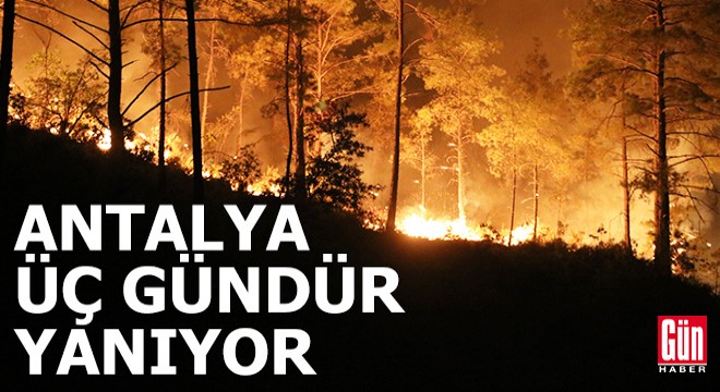 Alanya'daki orman yangınında 3'üncü gün