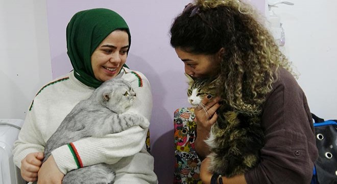 Anemi hastası kedi, donör 'Casper'ın kanıyla sağlığına kavuştu