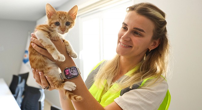 Antalya Boğaçayı'na düşen yavru kedi kurtarıldı