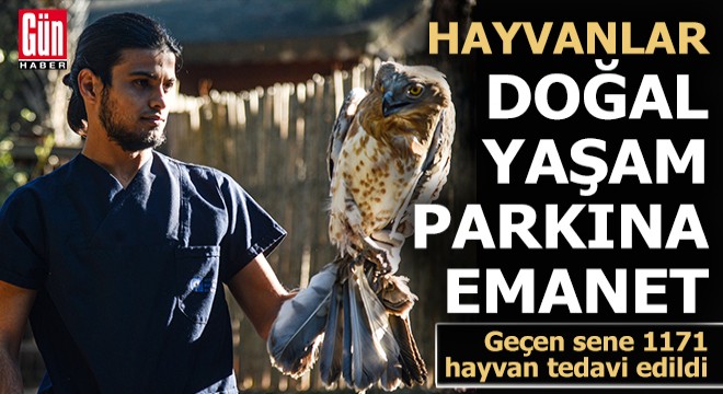 Antalya Doğal Yaşam Parkı'nda geçen yıl 1171 hayvan tedavi edildi