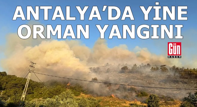 Antalya Gazipaşa'da orman yangını