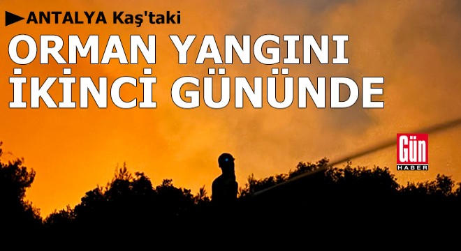 Antalya Kaş'taki orman yangını ikinci gününde