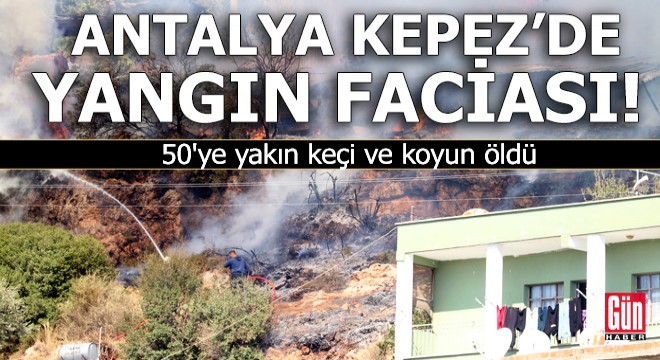 Antalya Kepez'de yangın faciası!