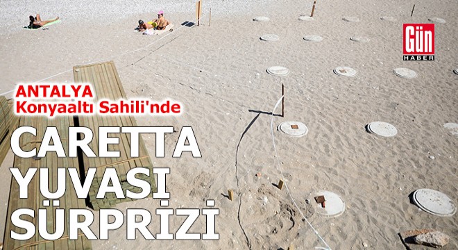 Antalya Konyaaltı Sahili'nde caretta yuvası sürprizi