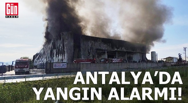 Antalya Manavgat'ta yangın alarmı!
