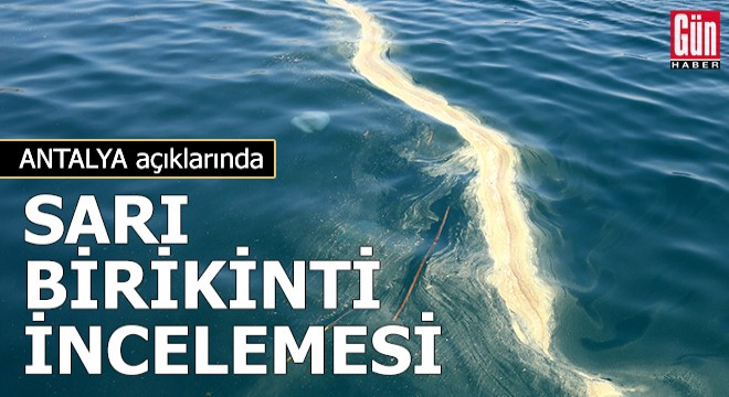 Antalya açıklarında denizanası ve sarı birikinti incelemesi