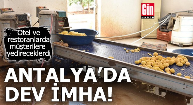 Antalya'da 1,5 ton patates imha edildi