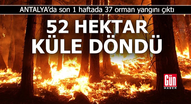 Antalya'da 1 haftada 37 orman yangını; 52 hektar yandı