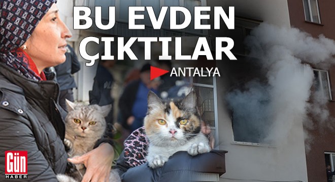 Antalya'da 2 kedili evde can pazarı