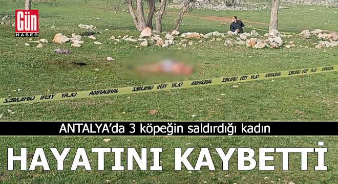Antalya'da 3 köpeğin saldırdığı kadın öldü