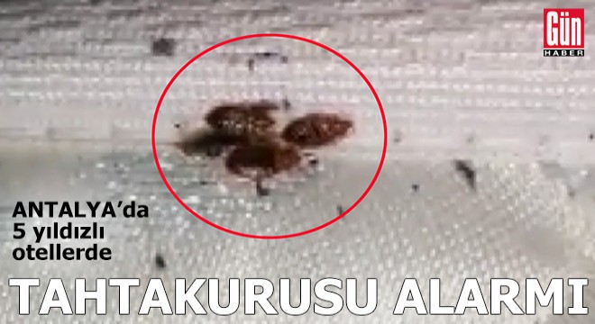 Antalya'da 5 yıldızlı otellerde tahtakurusu alarmı
