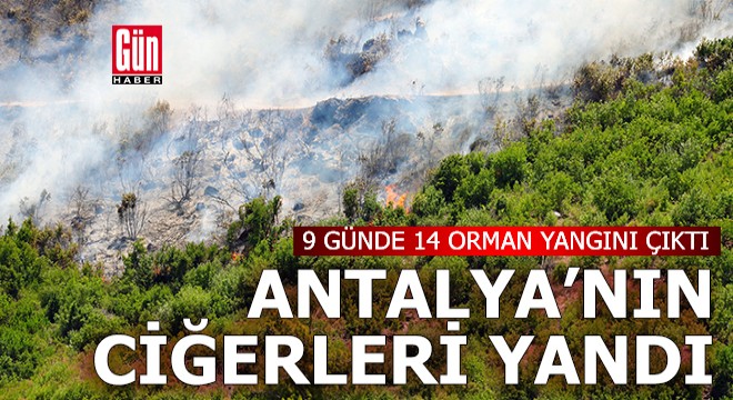Antalya'da 9 günde 14 orman yangını