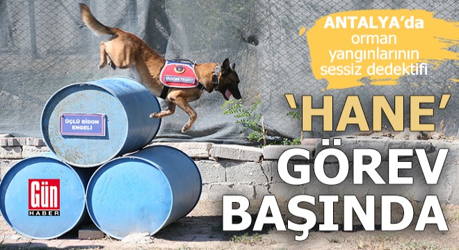 Antalya'da 'Hane', kundaklamaları tespit ediyor