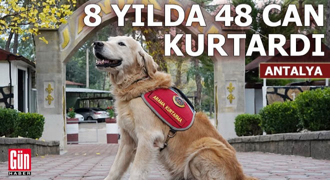 Antalya'da JAK köpeği 'Ocak', 8 yılda 48 can kurtardı