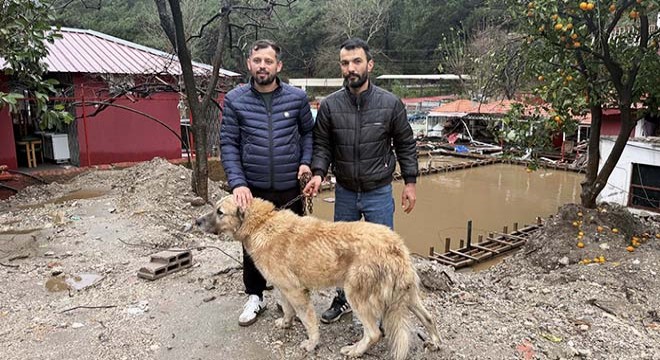 Antalya'da Paşa'yı canı pahasına korudu