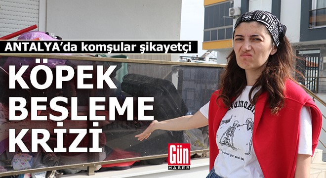 Antalya'da apartmanda köpek besleme krizi