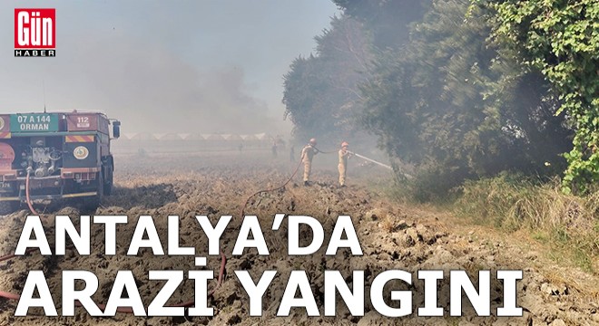 Antalya'da arazi yangını