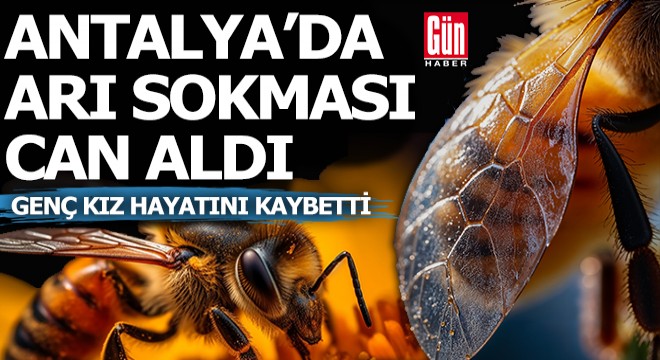 Antalya'da arı sokması can aldı
