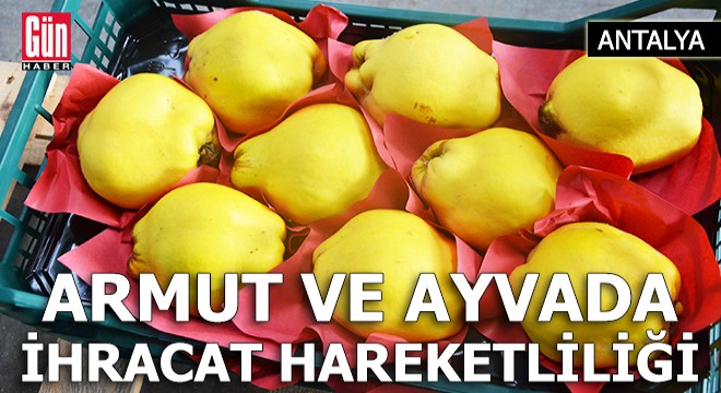 Antalya'da armut ve ayvada ihracat hareketliliği