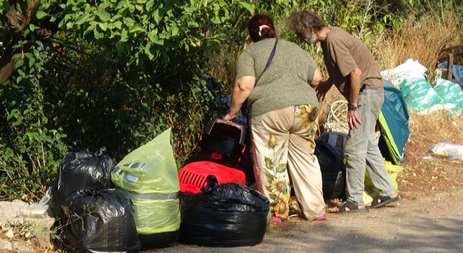 Antalya'da boşaltılan evde hasta 5 kedi daha kurtarıldı