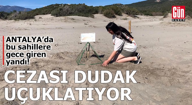 Antalya'da bu sahillere gece giren yandı!