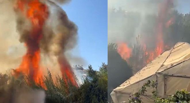 Antalya'da çalılık yangını seralara zarar verdi