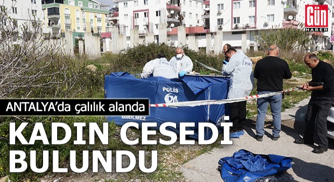 Antalya'da çalılıkta kadın cesedi bulundu