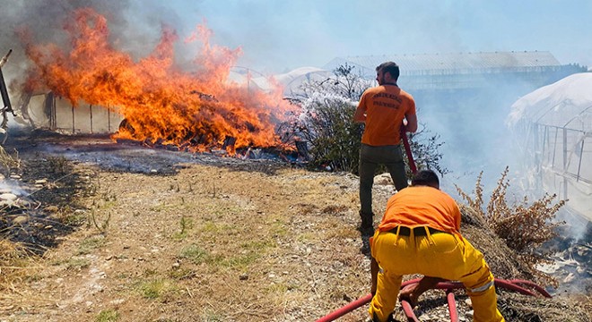 Antalya'da çalılıktaki yangın seraya sıçradı