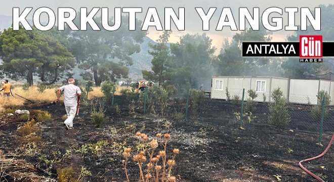 Antalya'da çıkan yangın korkuttu