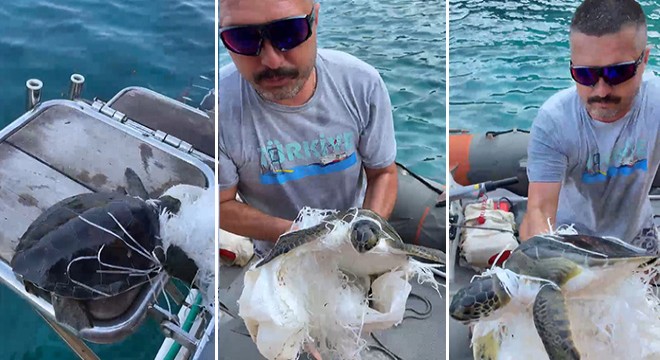 Antalya'da çuvala dolanan caretta carettayı kurtardı