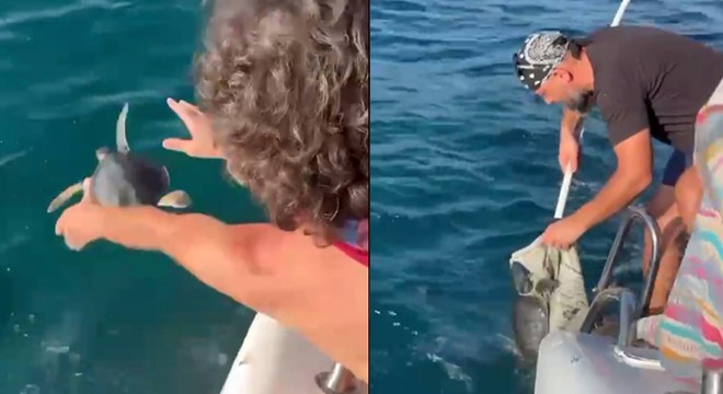 Antalya'da çuvala dolanan yavru deniz kaplumbağası kurtarıldı